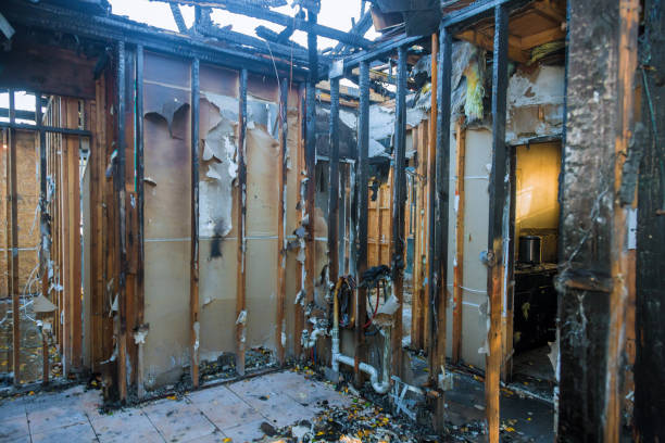 Professional Odor Removal technician working in Fairchild AFB, WA